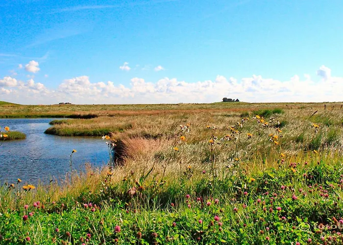 Gaestehaus Neuwarft * Langeneß