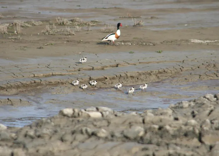 Gaestehaus Neuwarft Langeneß