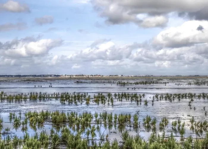 Gaestehaus Neuwarft Appartamento *