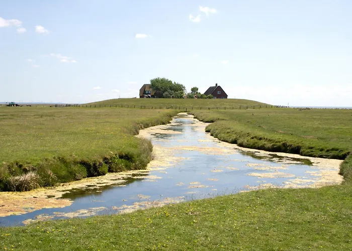 Gaestehaus Neuwarft Appartamento Langeneß
